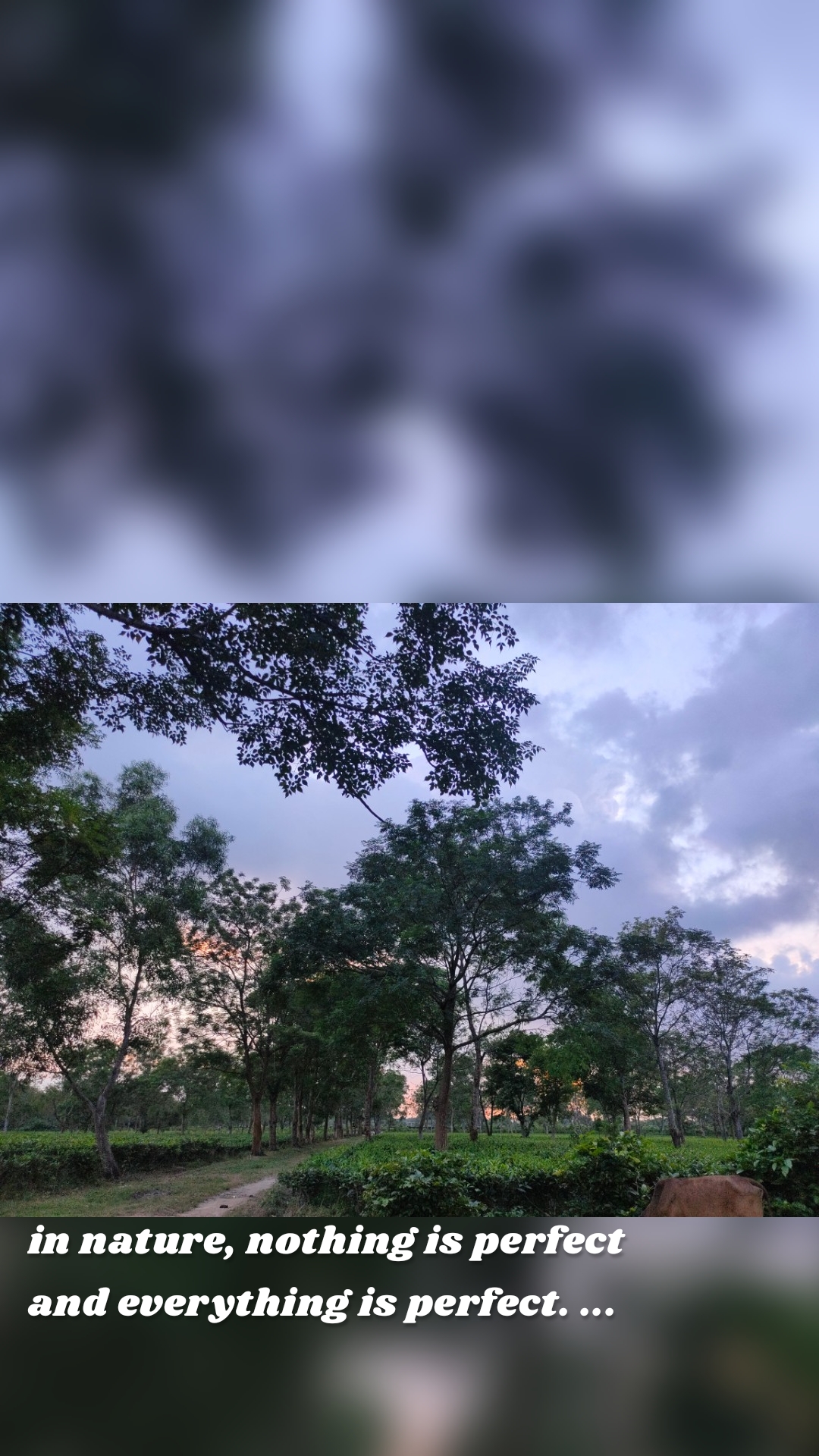 in nature, nothing is perfect and everything is perfect. ...